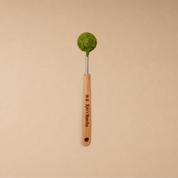 Bamboo Spoon