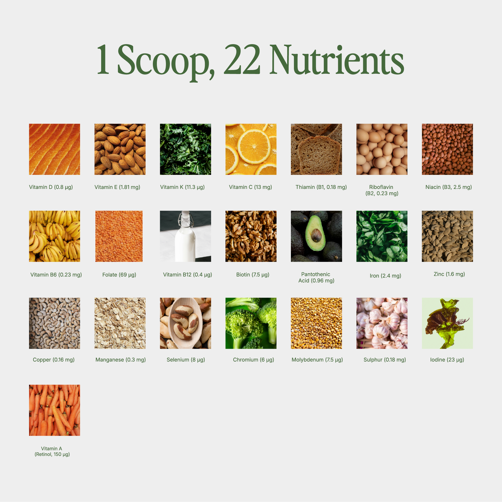 Matcha + Vitamin & Mineral Blend.